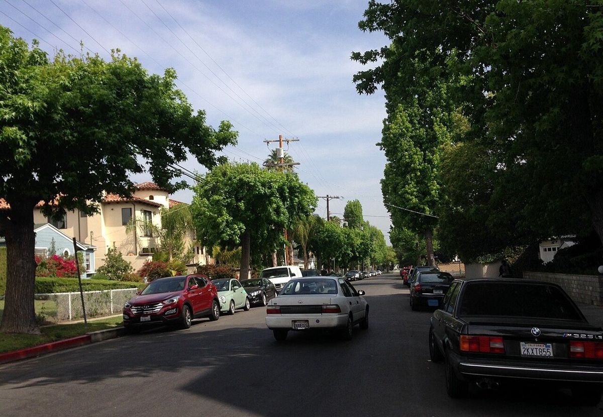 Residential street in Encino, Los Angeles