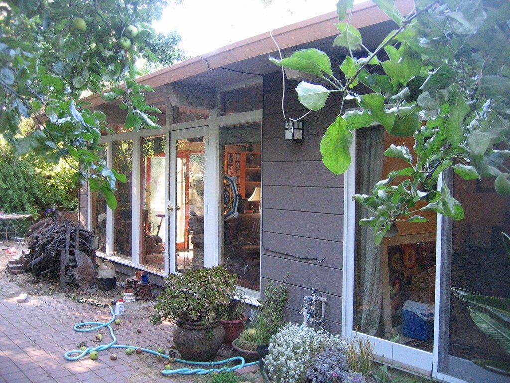 Small backyard studio surrounded by plants
